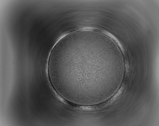 X0000087691194200705111314