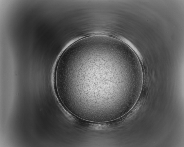 X0000087691195200705111314