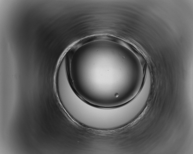 X0000087691196200705111314