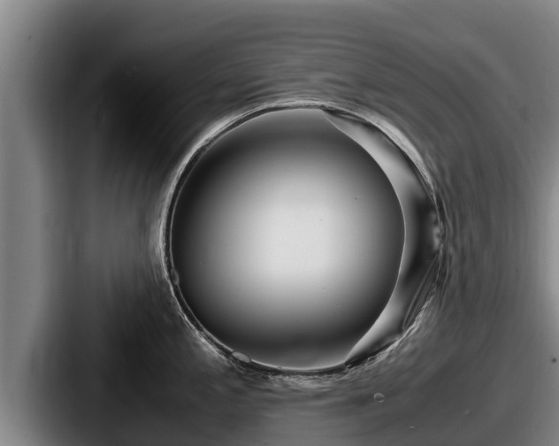 X0000087691197200705111314