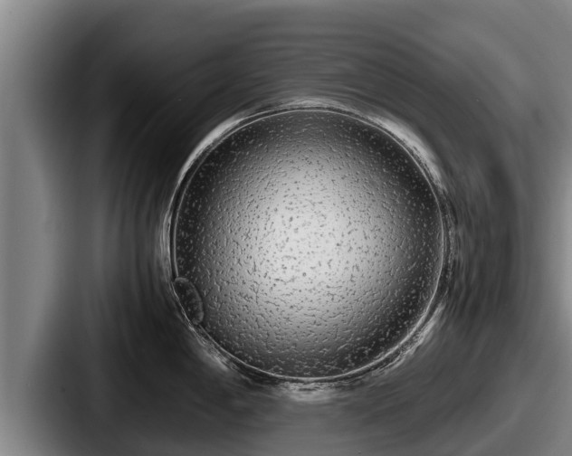 X0000087691198200705111314