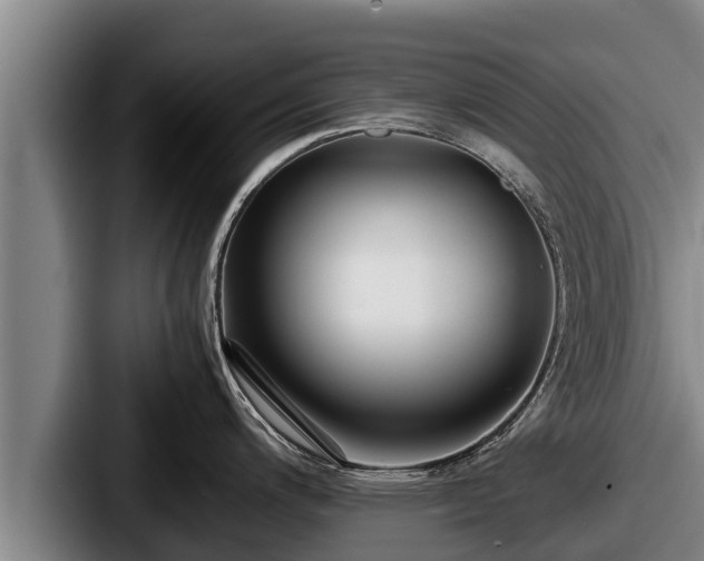 X0000087691200200705111314