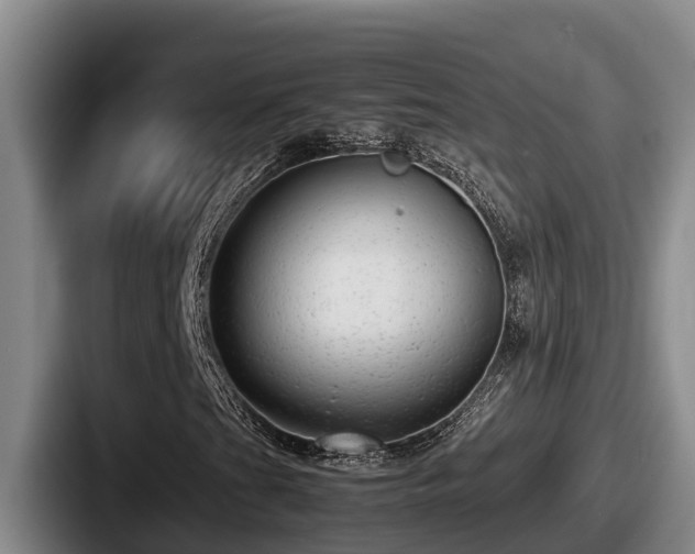 X0000087691201200705111313