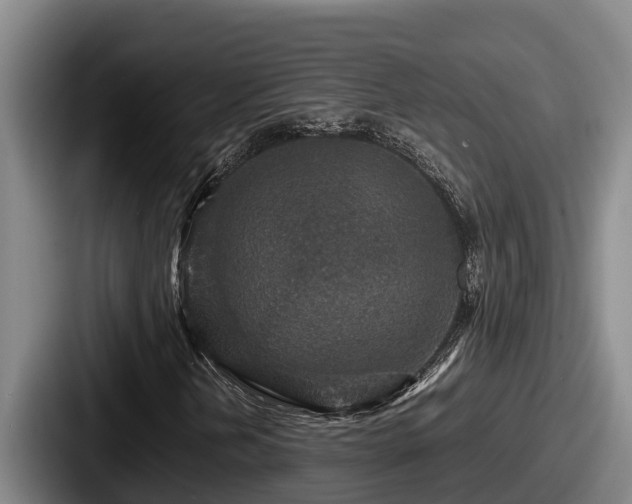 X0000087691202200705111313