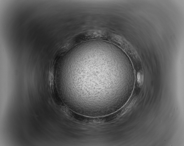 X0000087691203200705111313