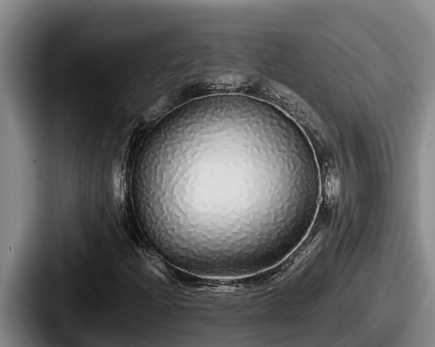 X0000087691204200705111313