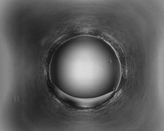 X0000087691206200705111313