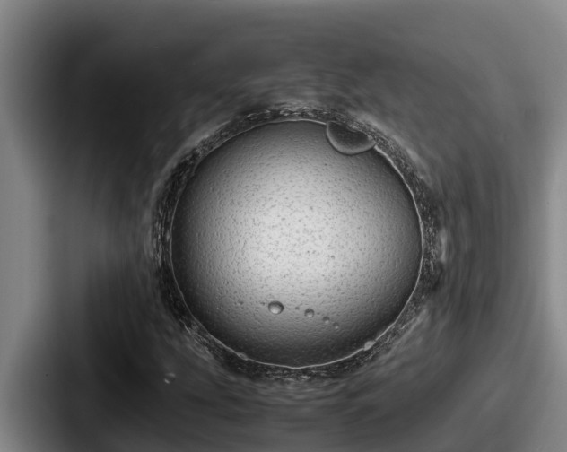 X0000087691207200705111313