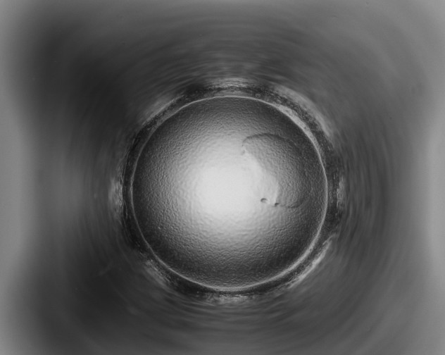 X0000087691209200705111313