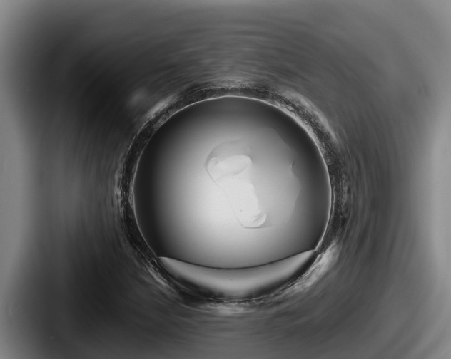 X0000087691210200705111313