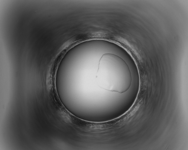 X0000087691211200705111313