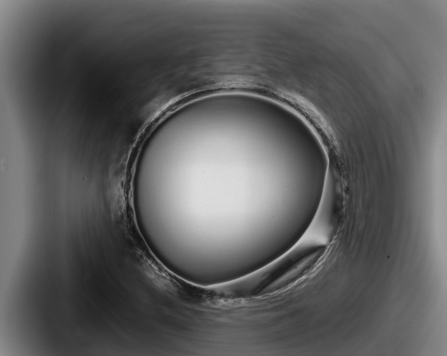 X0000087691212200705111314
