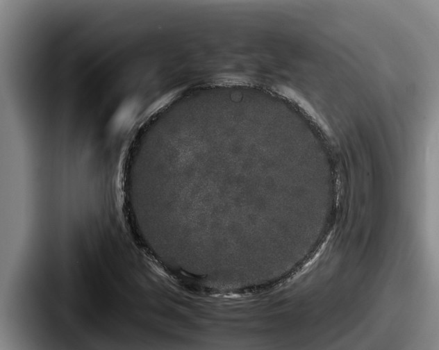 X0000087691213200705111314