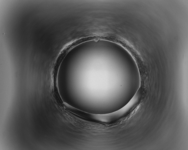 X0000087691214200705111314