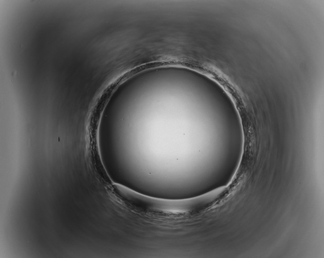 X0000087691215200705111314