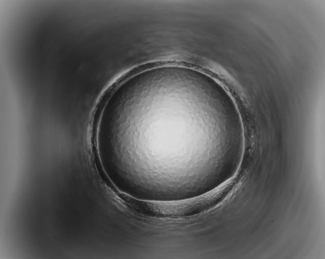 X0000087691216200705111314