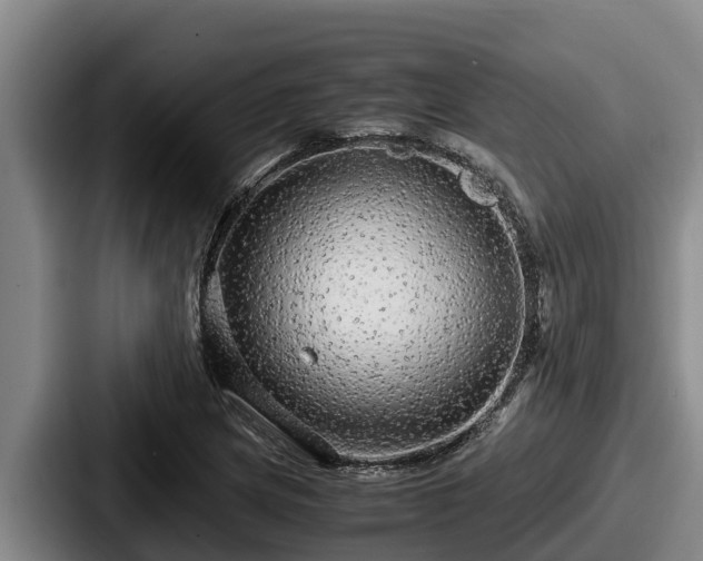 X0000087691217200705111314