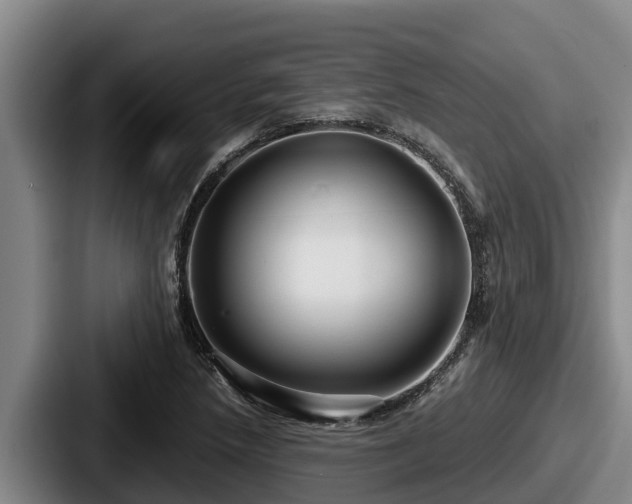 X0000087691218200705111314