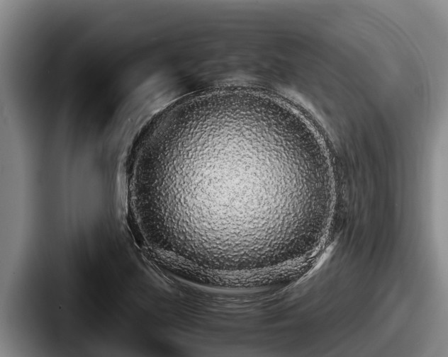X0000087691219200705111314