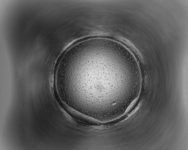 X0000087691220200705111314