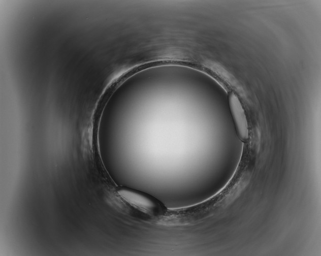 X0000087691222200705111314