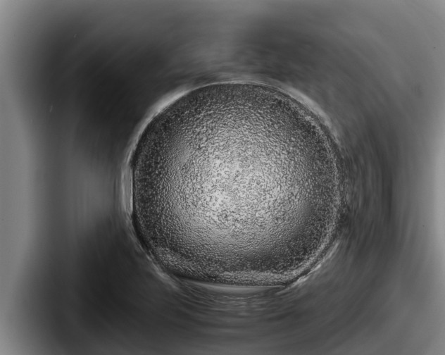 X0000087691223200705111314