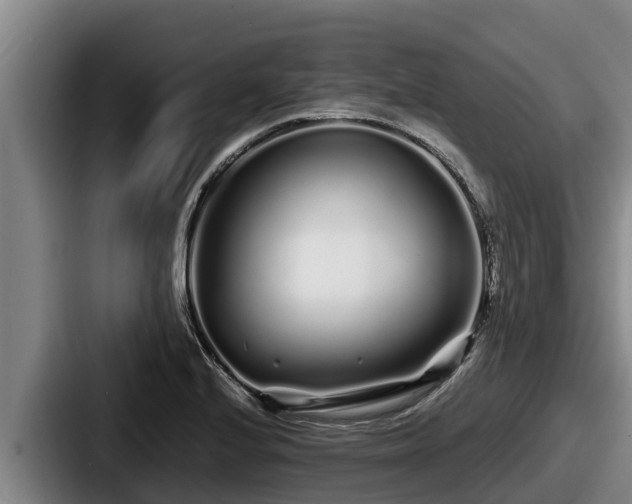 X0000087691224200705111314