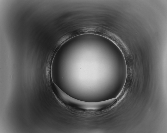 X0000087691225200705111314