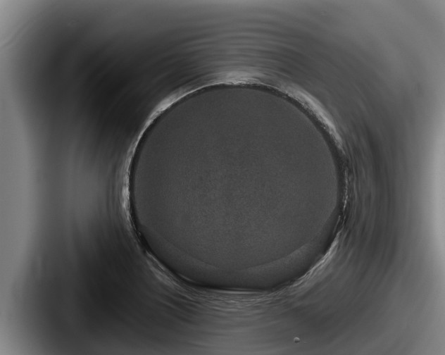 X0000087691226200705111314