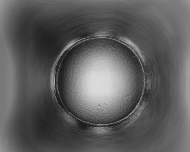 X0000087691227200705111314