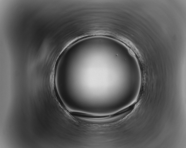 X0000087691228200705111314