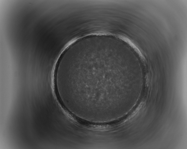 X0000087691229200705111314