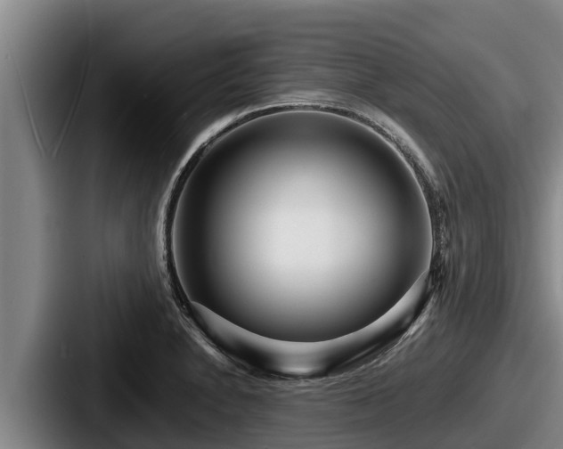 X0000087691230200705111314