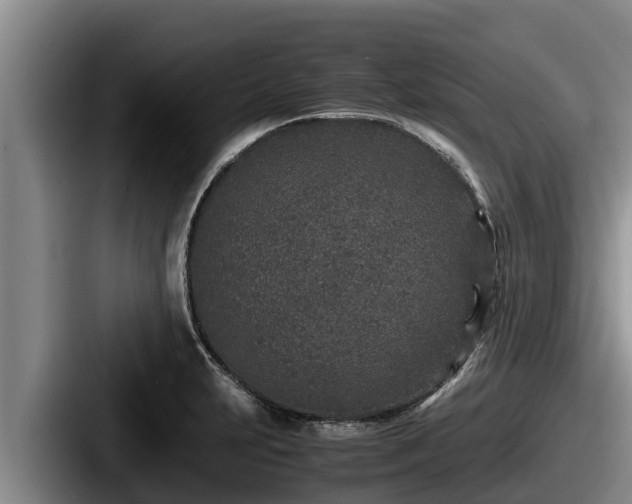 X0000087691231200705111314