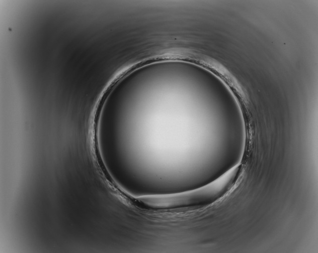 X0000087691232200705111314