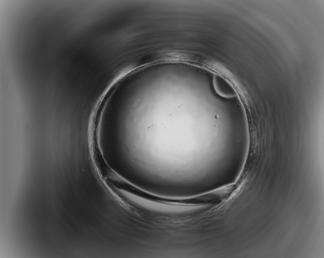 X0000087691235200705111314