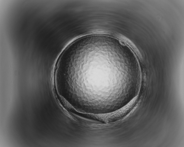 X0000087691236200705111314