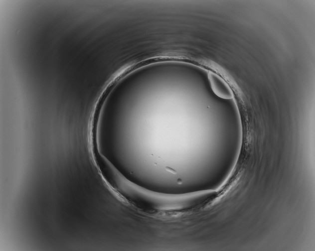 X0000087691237200705111314