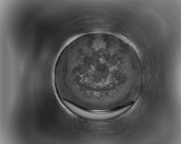 X0000087691239200705111314