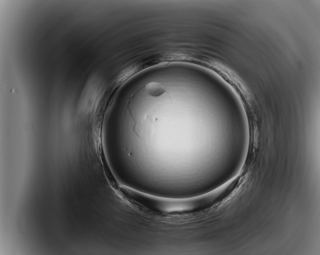 X0000087691241200705111314