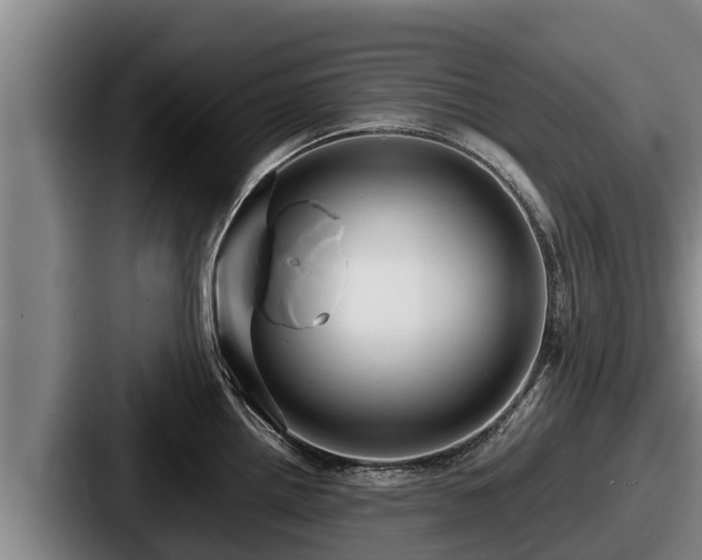 X0000087691242200705111314
