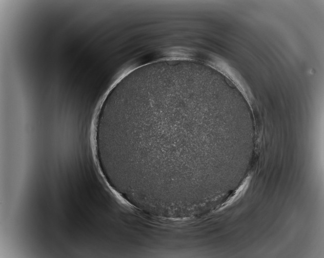 X0000087691243200705111314