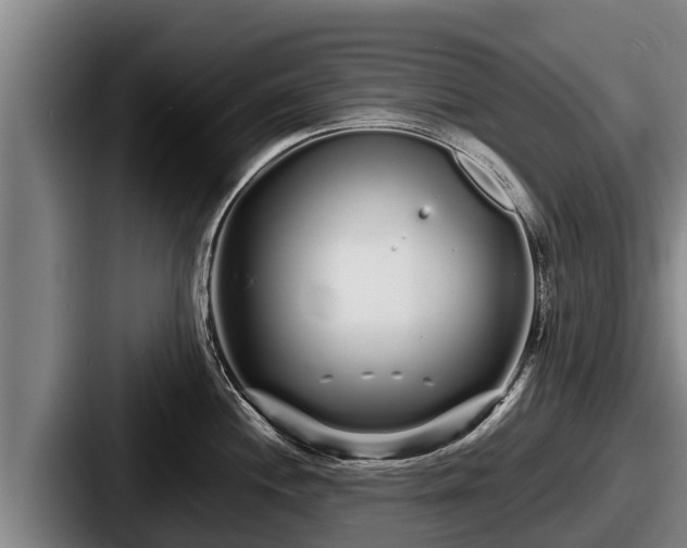 X0000087691244200705111314