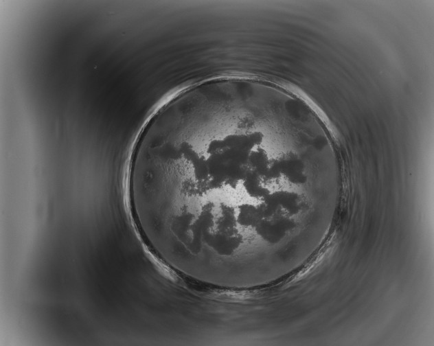 X0000087691245200705111314