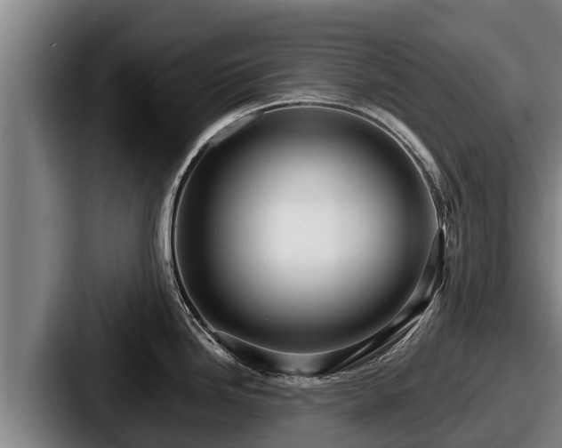 X0000087691246200705111314
