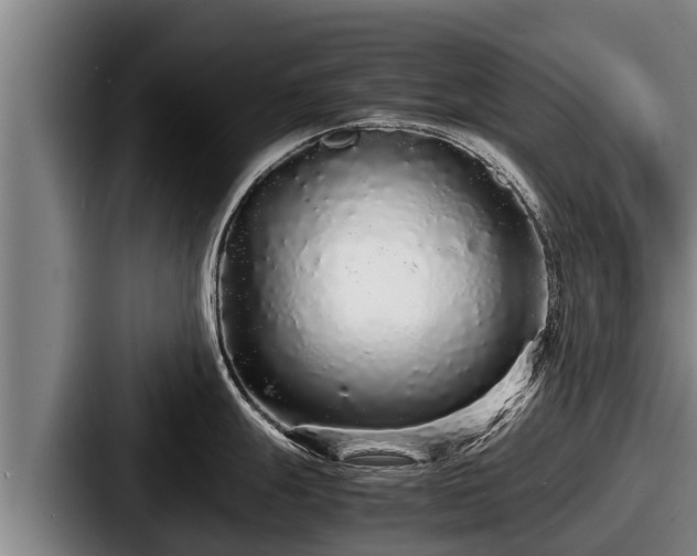 X0000087691247200705111314