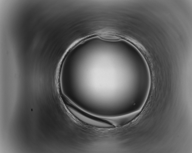 X0000087691248200705111314