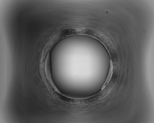 X0000087691249200705111313