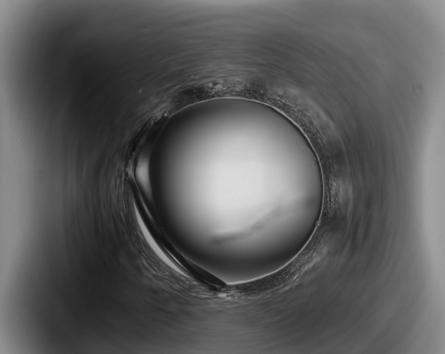 X0000087691250200705111313