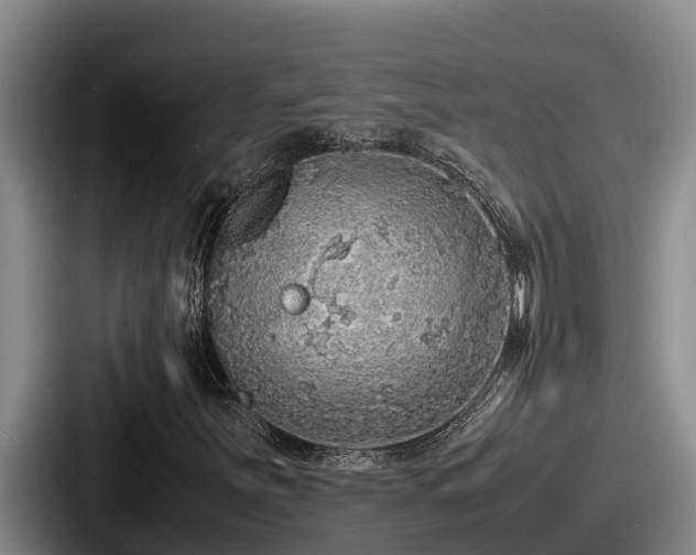 X0000087691251200705111313